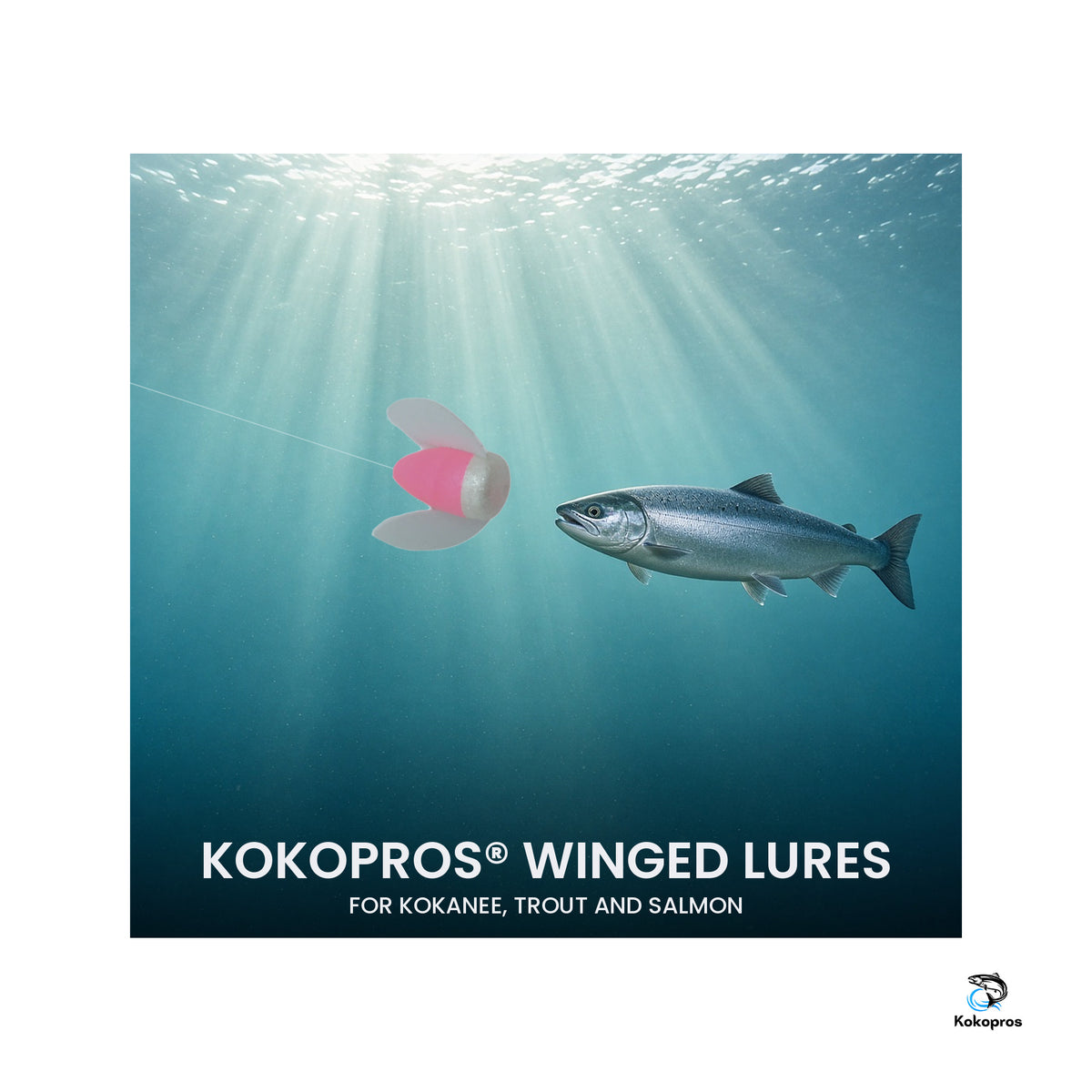 KOKOPROS® Spin n Glow spinners, 2 of each color, 6-pack, with a kokanee salmon