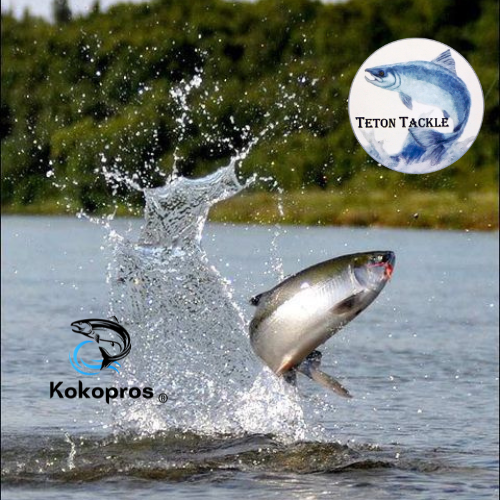 Teton Tackle