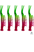 KOKOPROS® UV dyed kokanee shrimp #6, green and pink, 4.5 cm, 5-pack