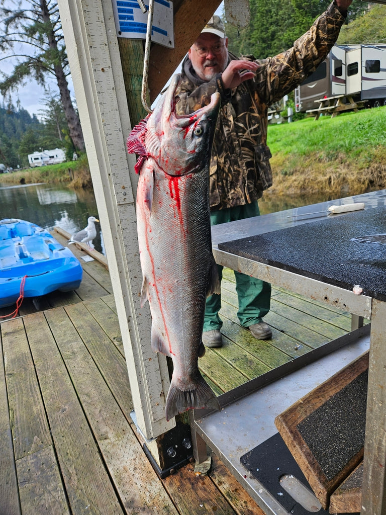 Kits- 10-Pack Chinook Luminous Salmon Hoochie Kit #3- with 4/0 Red
