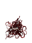 Size #4 Pre-Tied Red Sickle Hooks- 10 packs (adding this item likely won't change your shipping )