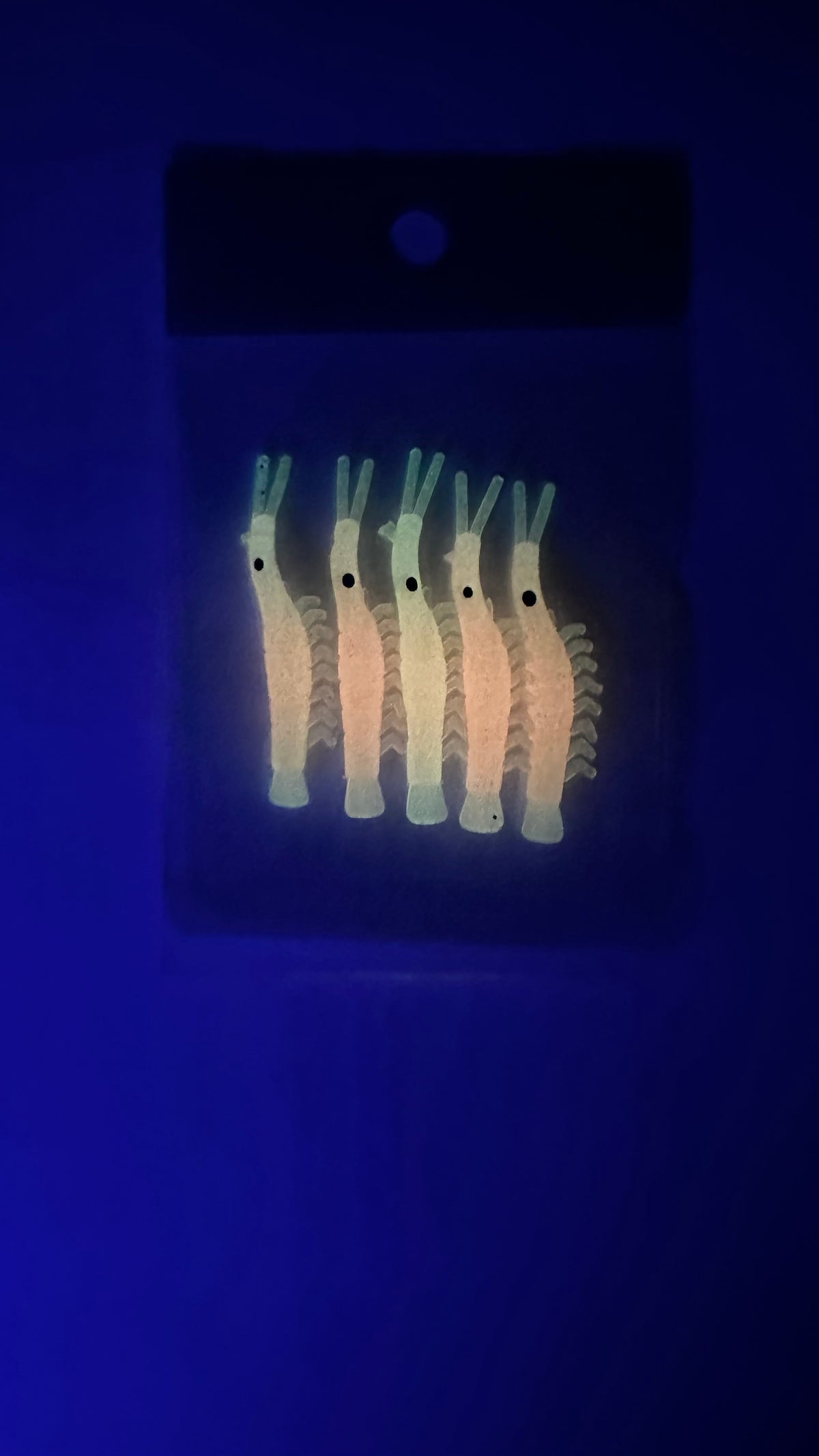 KOKOPROS® luminous micro shrimp in light pink, 5-pack, glowing in the dark