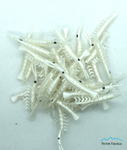 White Kokanee Shrimp - 50-Pack