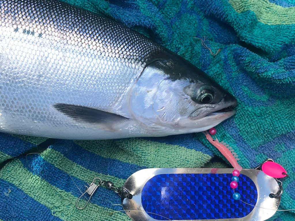 Kokanee Salmon Tackle, Fishing Hooks, Shrimp Lures, Baits, Trolling – Teton  Tackle